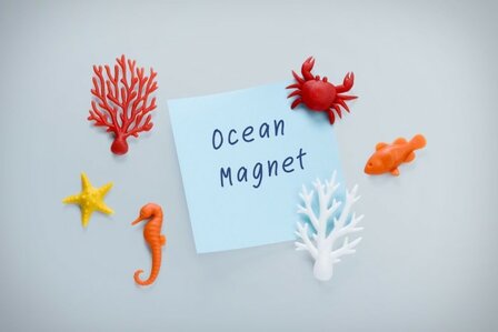 Qualy ocean ecology magneten