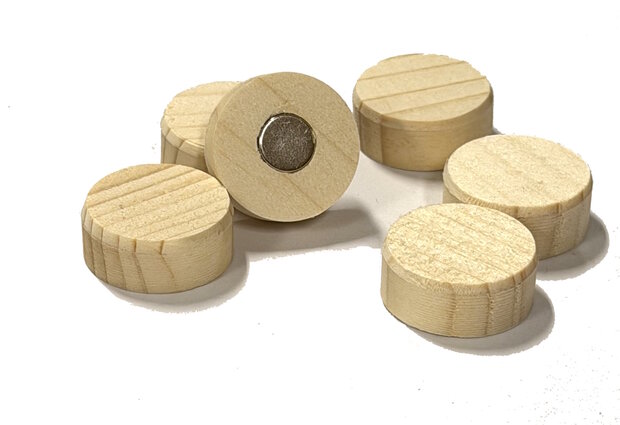 houten magneetschijven