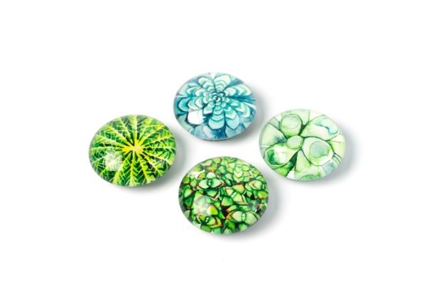 magneten rond vetplanten